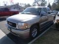 Pewter Metallic - Sierra 1500 C3 Extended Cab 4WD Photo No. 1