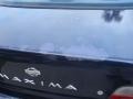 Starfire Blue Pearl - Maxima GXE Photo No. 30