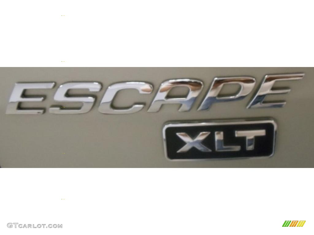 2004 Escape XLT V6 - Gold Ash Metallic / Medium/Dark Pebble photo #9
