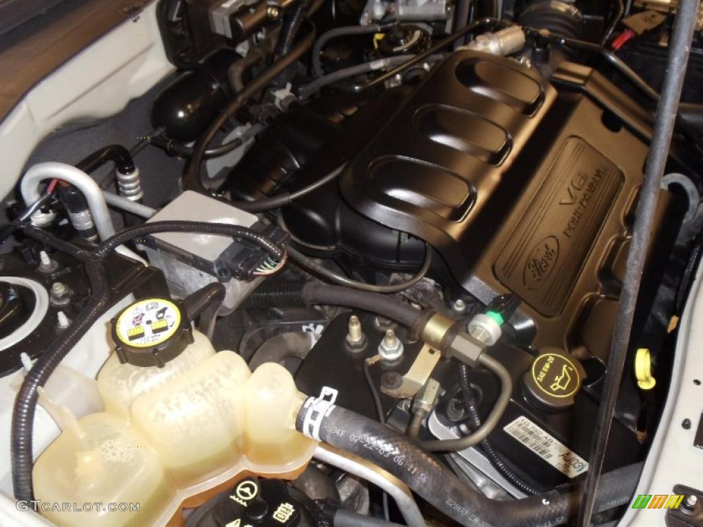 2004 Ford Escape XLT V6 3.0L DOHC 24 Valve V6 Engine Photo #43417872