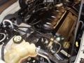 2004 Gold Ash Metallic Ford Escape XLT V6  photo #15