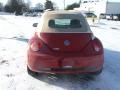 Salsa Red - New Beetle SE Convertible Photo No. 5