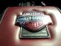  2010 F150 Harley-Davidson SuperCrew Logo