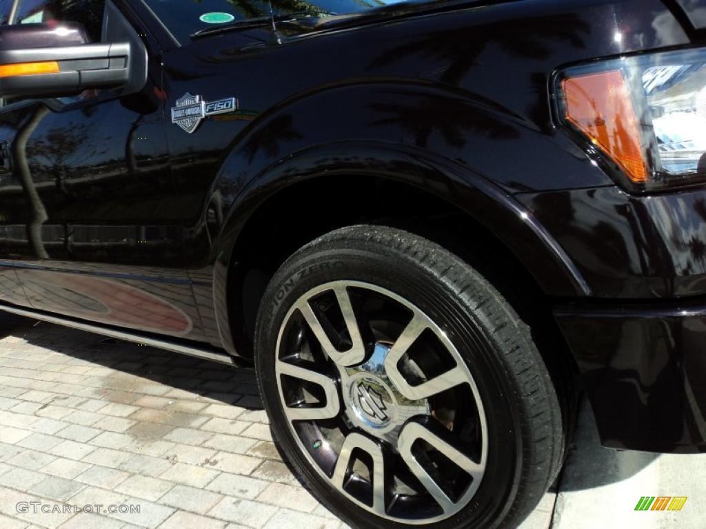 2010 F150 Harley-Davidson SuperCrew - Lava Red Metallic / Harley Davidson Lava Red/Black photo #29