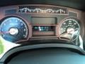  2010 F150 Harley-Davidson SuperCrew Harley-Davidson SuperCrew Gauges