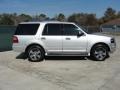 Ingot Silver Metallic 2010 Ford Expedition Limited Exterior