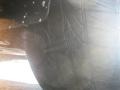 Black Onyx - GS 300 AWD Photo No. 56