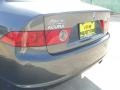 Carbon Gray Pearl - TSX Sedan Photo No. 20