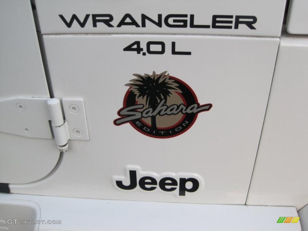 2001 Jeep Wrangler Sahara 4x4 Marks and Logos Photo #43430017