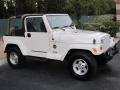 Stone White - Wrangler Sahara 4x4 Photo No. 21