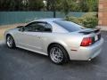 2003 Silver Metallic Ford Mustang GT Coupe  photo #13