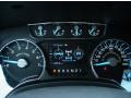 Pale Adobe Gauges Photo for 2011 Ford F150 #43432531