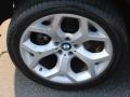Titanium Silver Metallic - X5 4.8i Photo No. 8