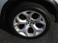 Titanium Silver Metallic - X5 4.8i Photo No. 13