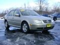 Wheat Beige Metallic - Jetta GLS TDI Sedan Photo No. 9