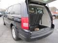 2010 Blackberry Pearl Chrysler Town & Country Touring  photo #8