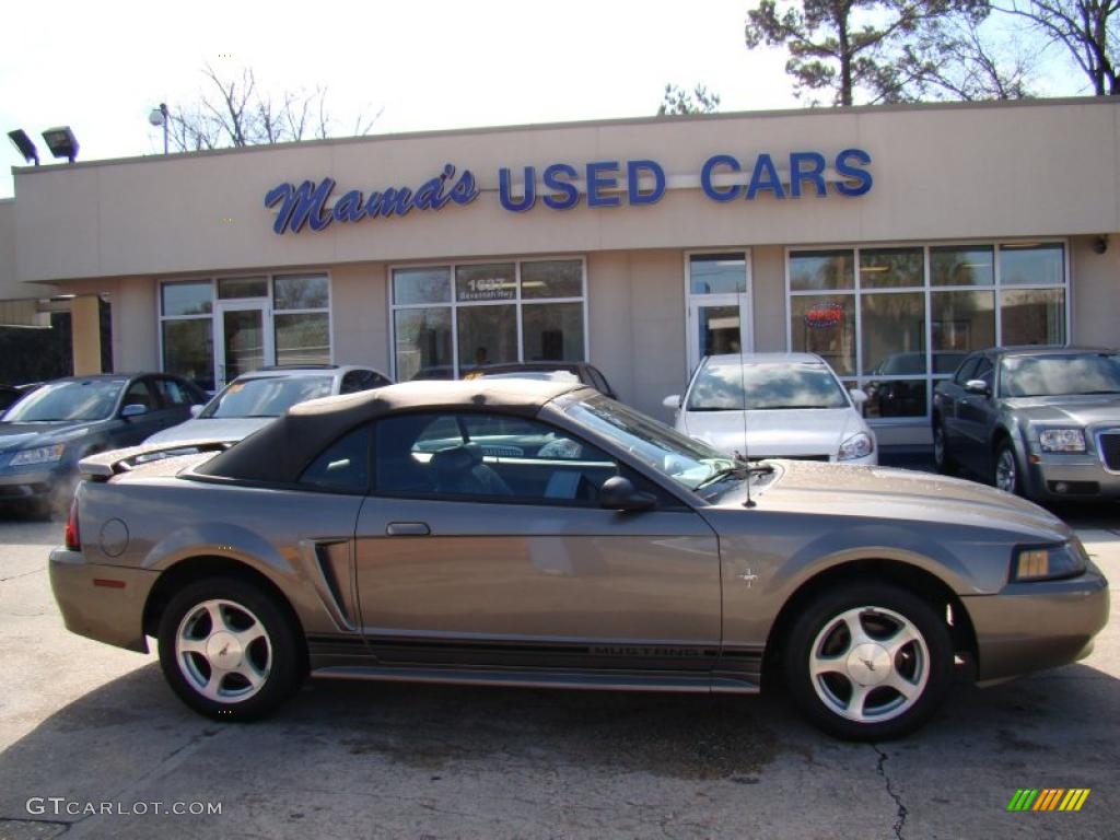 2001 Mustang V6 Convertible - Mineral Grey Metallic / Medium Graphite photo #1