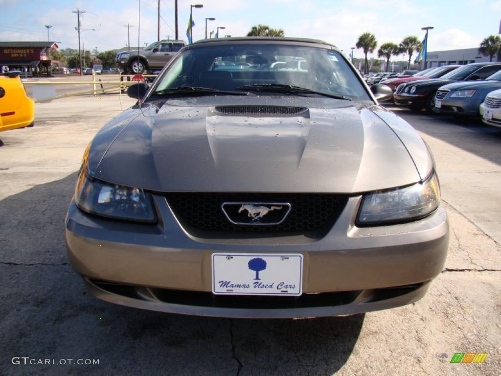 2001 Mustang V6 Convertible - Mineral Grey Metallic / Medium Graphite photo #3
