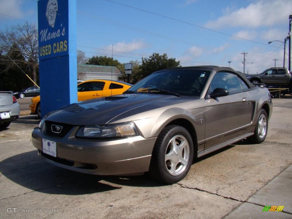 2001 Mustang V6 Convertible - Mineral Grey Metallic / Medium Graphite photo #4
