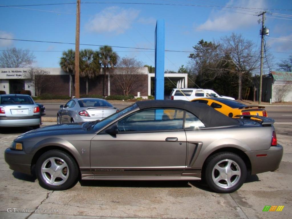 2001 Mustang V6 Convertible - Mineral Grey Metallic / Medium Graphite photo #5