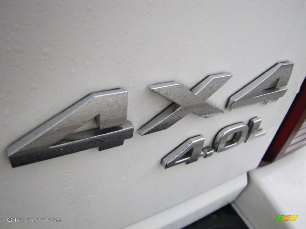 2008 Dodge Nitro R/T 4x4 Marks and Logos Photo #43463012
