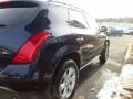 2007 Midnight Blue Pearl Nissan Murano SL AWD  photo #6