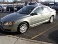 2008 Willow Green Metallic Volvo S80 3.2  photo #7