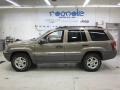 Woodland Brown Satin Glow - Grand Cherokee Laredo 4x4 Photo No. 1