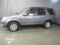 Pewter Pearl - CR-V SE 4WD Photo No. 3