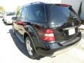 Black - ML 350 4Matic Photo No. 16