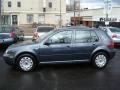 Blue Anthracite Metallic - Golf GL TDI 4 Door Photo No. 2