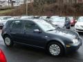 Blue Anthracite Metallic - Golf GL TDI 4 Door Photo No. 6