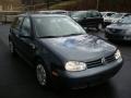Blue Anthracite Metallic - Golf GL TDI 4 Door Photo No. 7