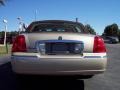 2006 Light French Silk Metallic Lincoln Town Car Signature Limited  photo #6