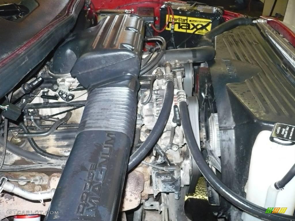 1995 Ram 1500 LT Regular Cab 4x4 - Poppy Red / Gray photo #11