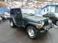 Shale Green Metallic 2003 Jeep Wrangler Sahara 4x4 Exterior