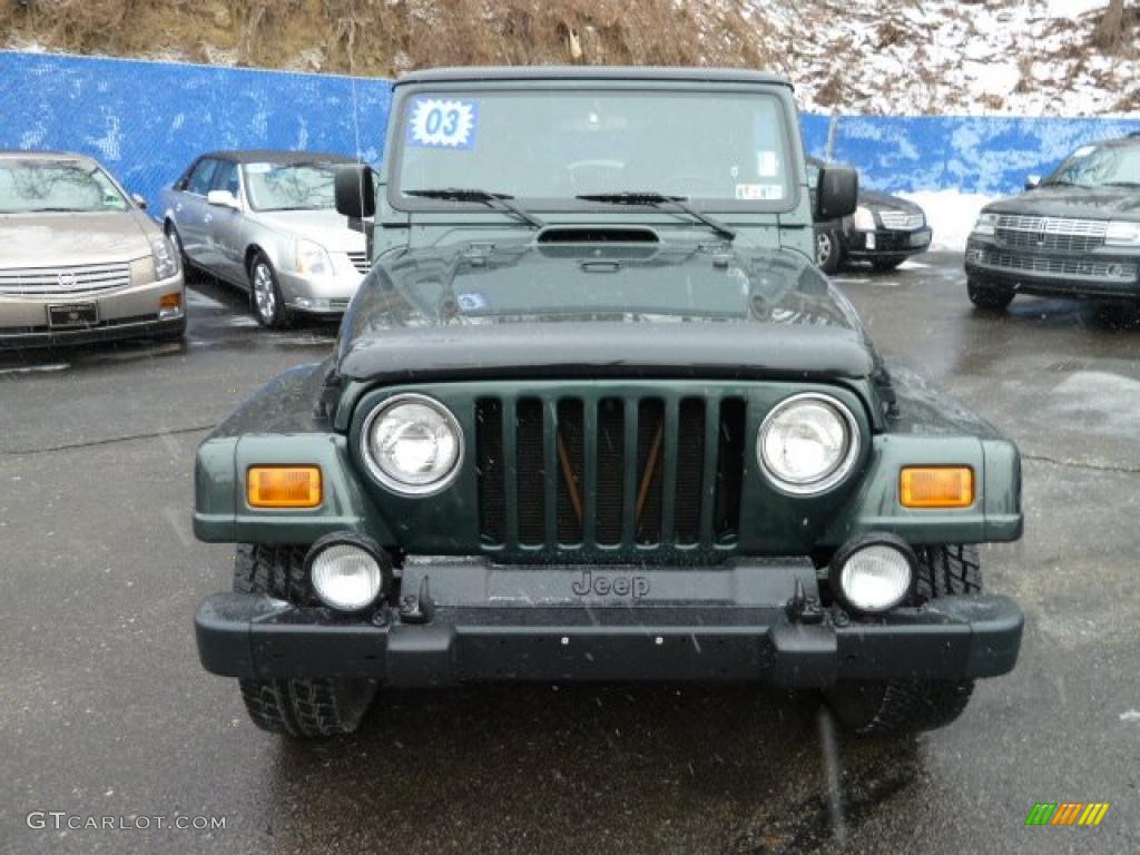 2003 Wrangler Sahara 4x4 - Shale Green Metallic / Khaki photo #8