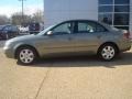 Golden Beige - Sonata GLS V6 Photo No. 3