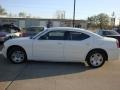 Stone White - Charger SE Photo No. 7