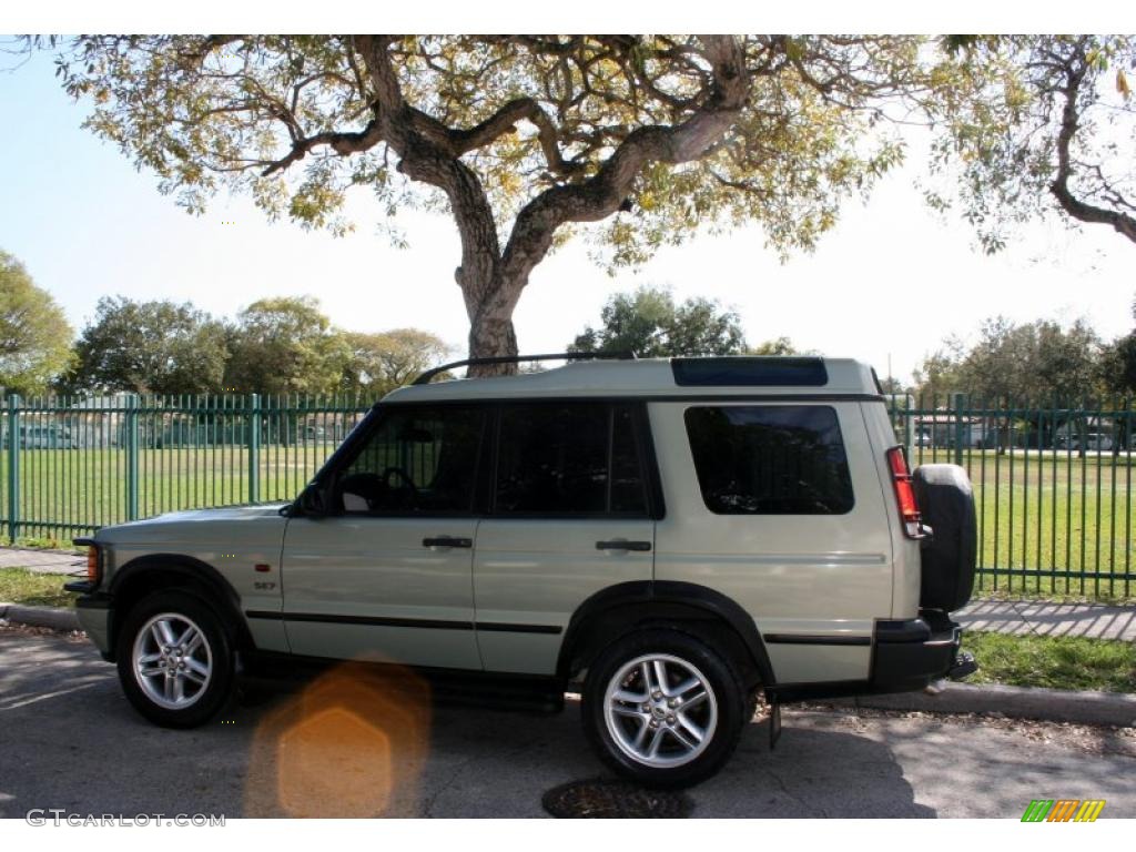 2002 Discovery II SE7 - Vienna Green Pearl / Bahama Beige photo #4