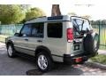 2002 Vienna Green Pearl Land Rover Discovery II SE7  photo #6