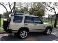 2002 Vienna Green Pearl Land Rover Discovery II SE7  photo #9