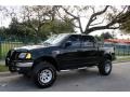 2001 Black Ford F150 XLT SuperCrew 4x4  photo #2