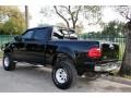 2001 Black Ford F150 XLT SuperCrew 4x4  photo #7