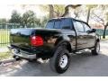 2001 Black Ford F150 XLT SuperCrew 4x4  photo #9