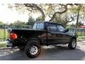 2001 Black Ford F150 XLT SuperCrew 4x4  photo #10