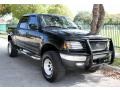 2001 Black Ford F150 XLT SuperCrew 4x4  photo #16