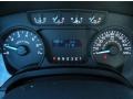 Steel Gray Gauges Photo for 2011 Ford F150 #43519323