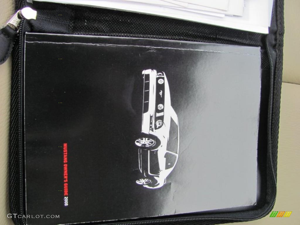 2008 Mustang V6 Premium Convertible - Alloy Metallic / Medium Parchment photo #4