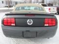 Alloy Metallic - Mustang V6 Premium Convertible Photo No. 16